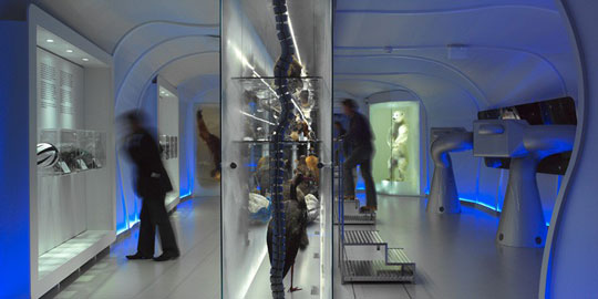 Ausstellungskonzeption Naturkundemuseum